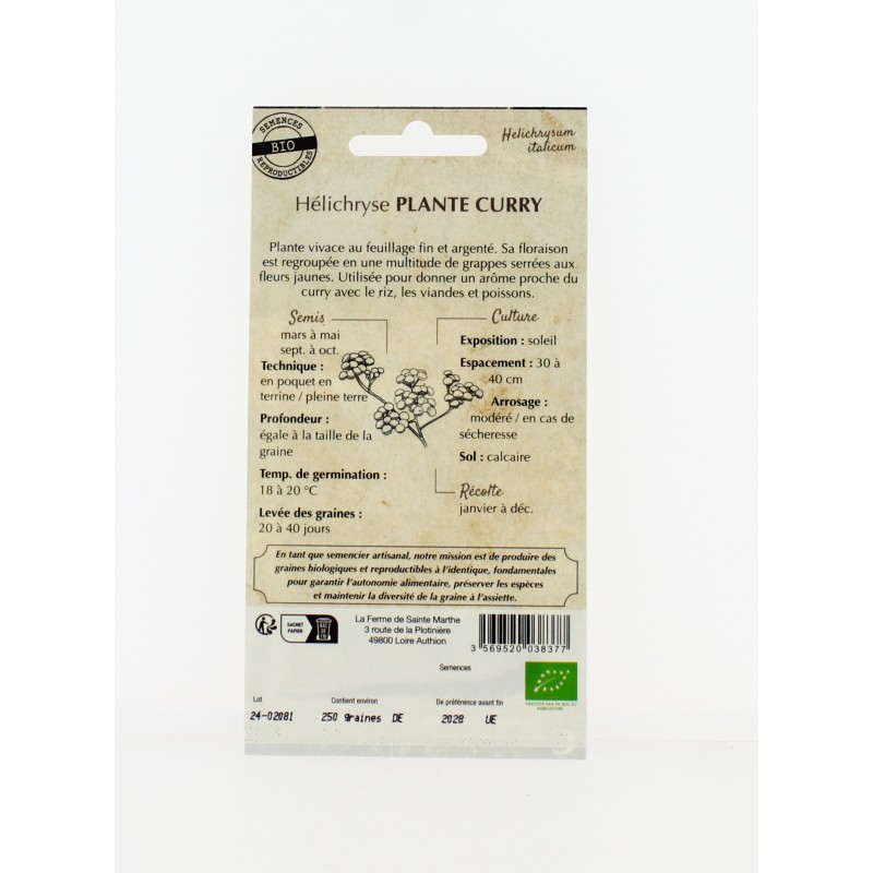 Helichryse Plante Curry - Semences reproductibles bio