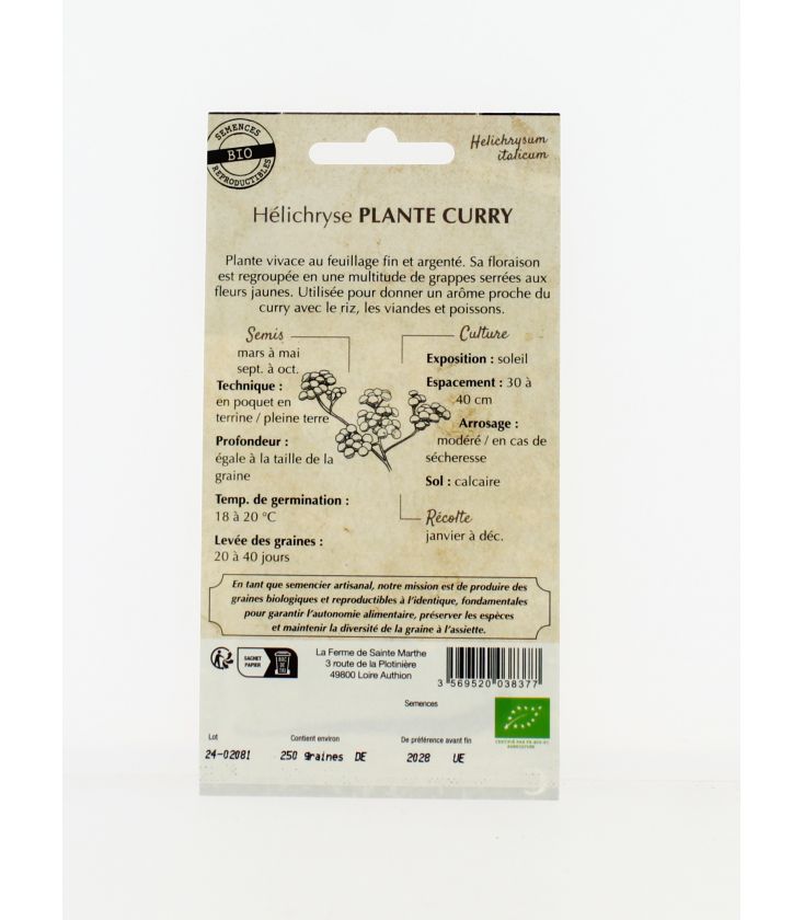 Helichryse Plante Curry - Semences reproductibles bio