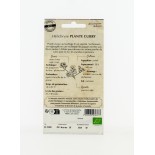 Helichryse Plante Curry - Semences reproductibles bio