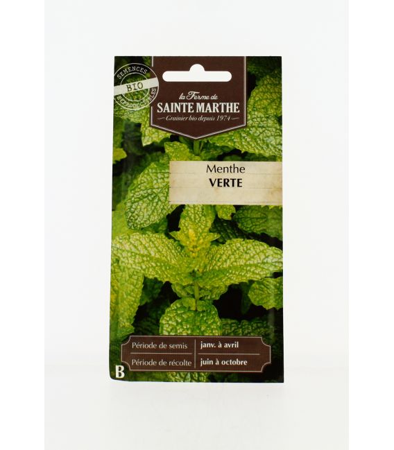 MENTHE Verte AB- Semences reproductibles bio