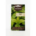 MENTHE Verte AB  - Semences reproductibles bio
