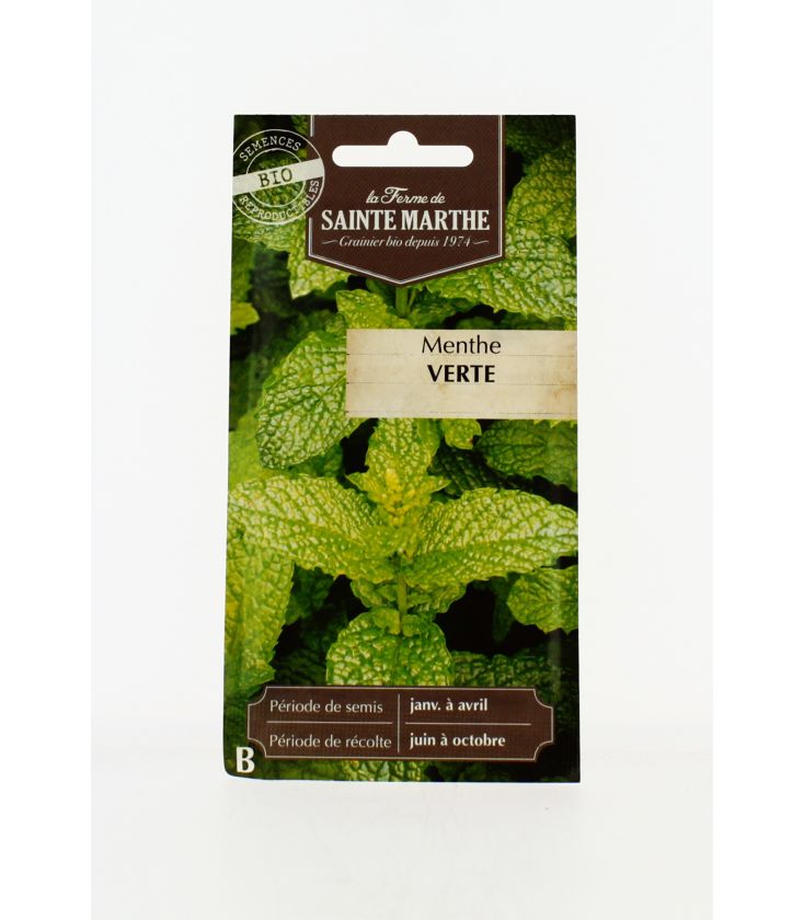 MENTHE Verte AB- Semences reproductibles bio