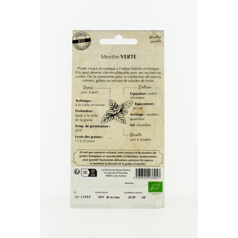 MENTHE Verte AB- Semences reproductibles bio