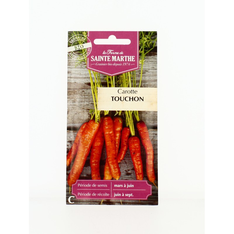 Carotte Touchon - Semences reproductibles bio
