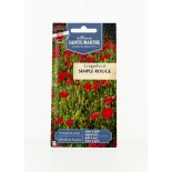 Coquelicot Fleurs Comestibles - Semences reproductibles bio