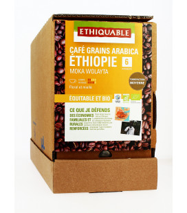 Café Éthiopie Moka Wolayta GRAINS bio & équitable VRAC RHD 3.25 kg