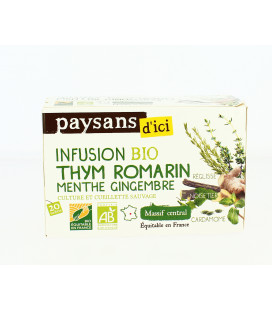 Infusion Gingembre et Citron Vert bio & équitable