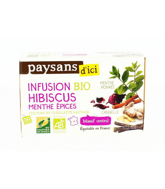 Infusion Gingembre et Citron Vert bio & équitable