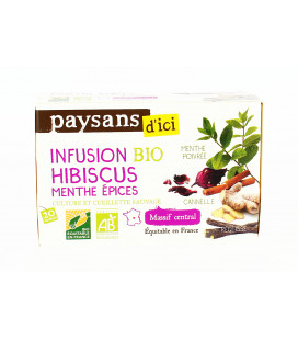 Infusion Gingembre et Citron Vert bio & équitable