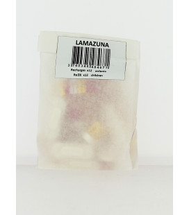 Sachet Recharge de 12 Têtes pour brosse à dents écologiques ENFANTS