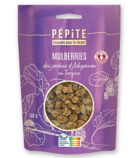 DATE PROCHE - Mulberries bio des Jardins d'Adiyaman en Turquie