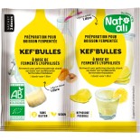 Ferment pour boisson kéfir de fruits BIO | NAT-ALI