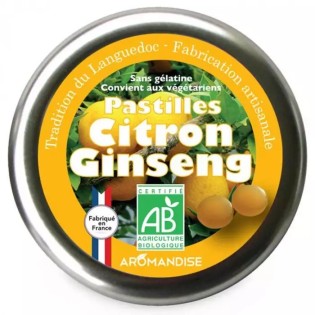 Thé Vert À la Menthe bio & équitable - 36 g | JARDINS DE GAÏA