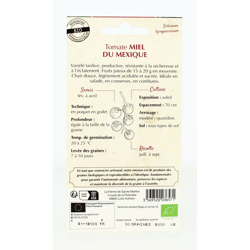 TOMATE Miel du Mexique AB- Semences reproductibles bio