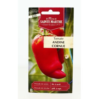 TOMATE Andine cornue AB- Semences reproductibles bio