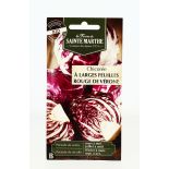 Chicorée à Larges Feuilles Rouge de Vérone - Semences reproductibles bio