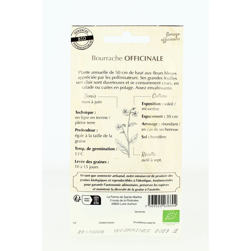 BOURRACHE Officinale AB - Semences reproductibles bio