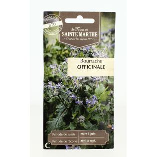 BOURRACHE Officinale AB - Semences reproductibles bio