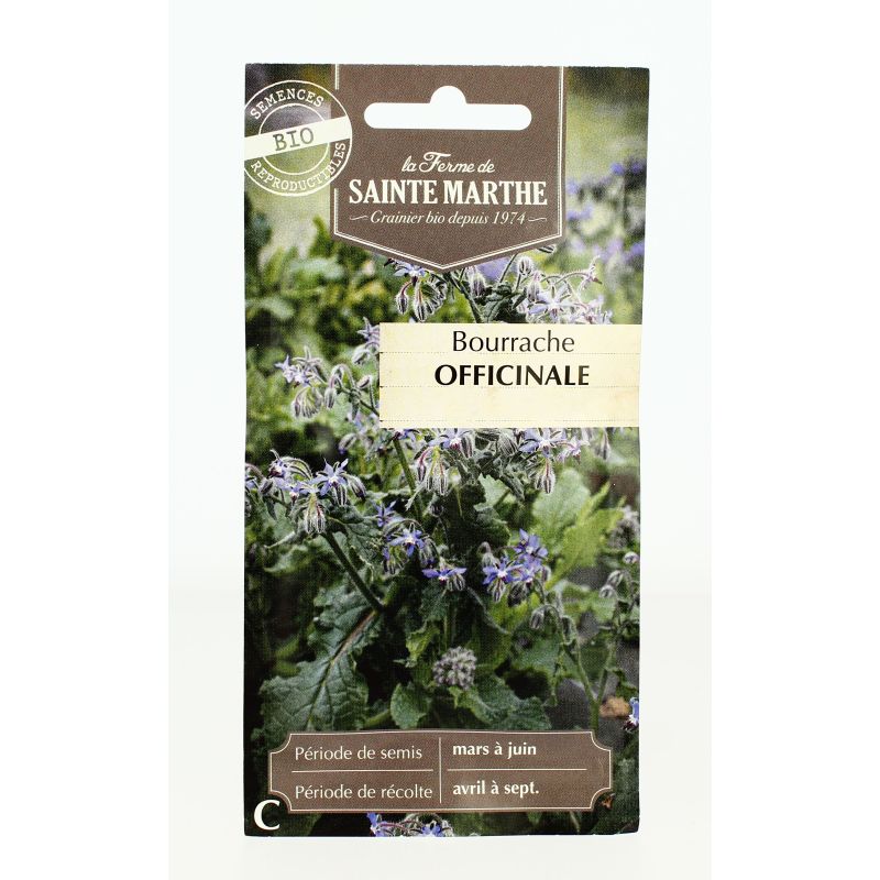 BOURRACHE Officinale AB - Semences reproductibles bio