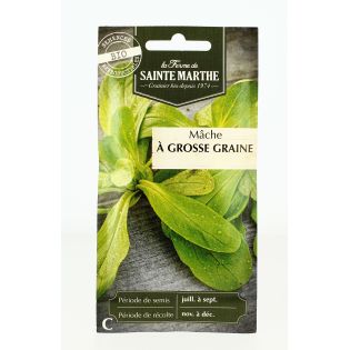 Mâche à Grosse Graines - Semences reproductibles bio