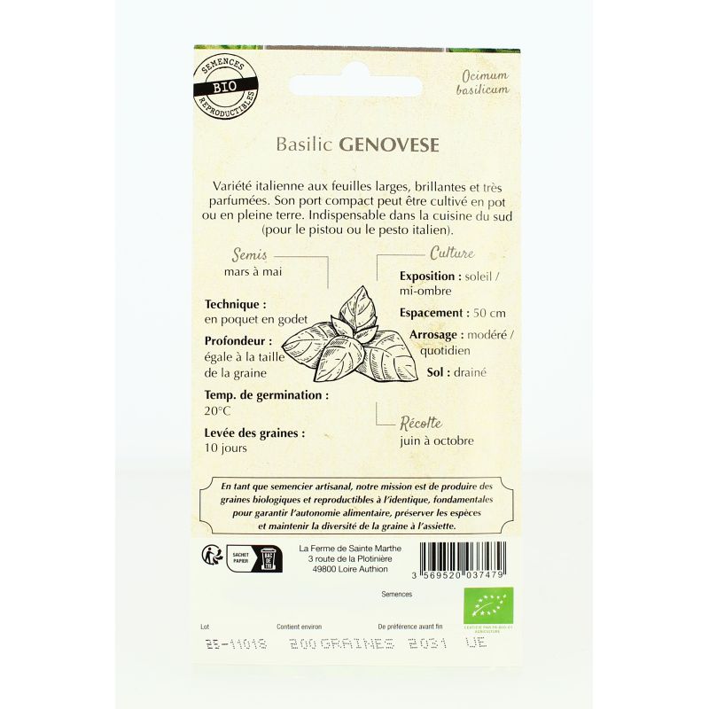 BASILIC Genovese AB- Semences reproductibles bio
