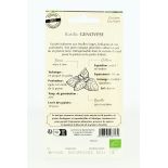 BASILIC Genovese AB- Semences reproductibles bio