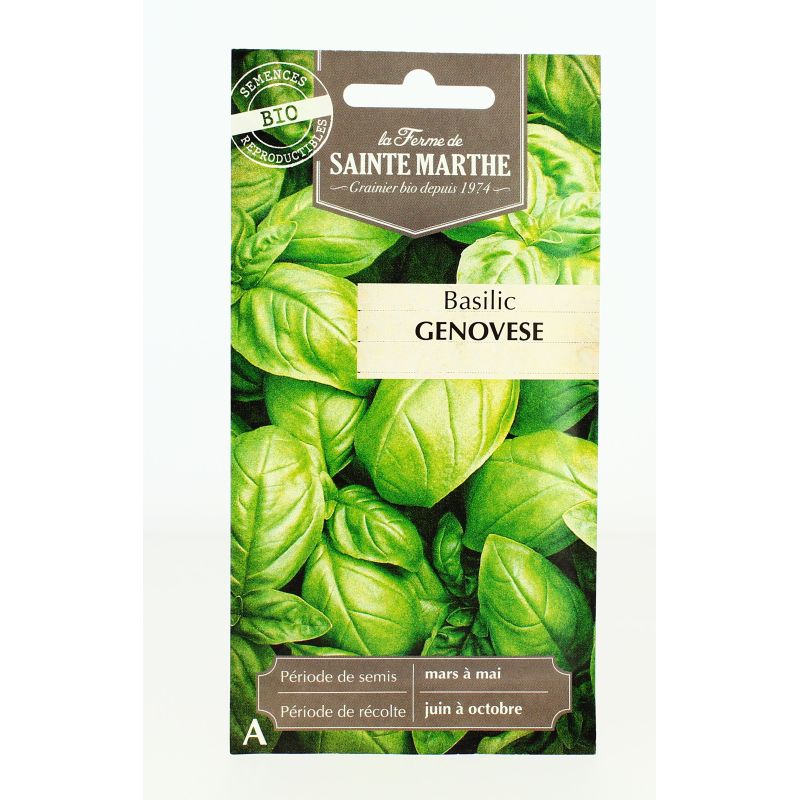 BASILIC Genovese AB- Semences reproductibles bio