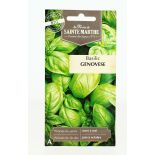 BASILIC Genovese AB- Semences reproductibles bio