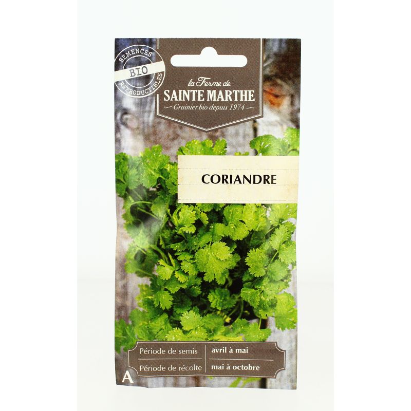Coriandre - Semences reproductibles bio