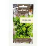 Coriandre - Semences reproductibles bio