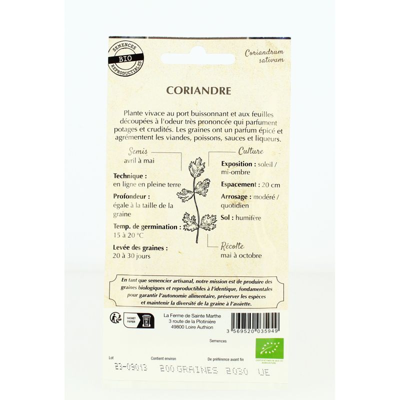 Coriandre - Semences reproductibles bio