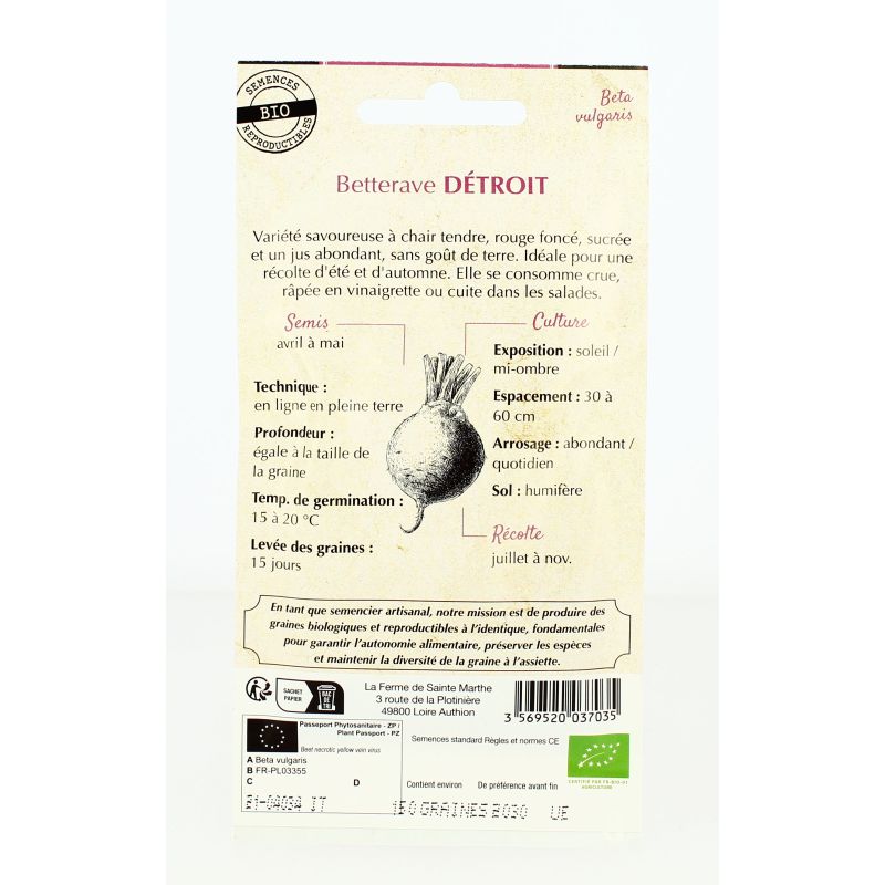 BETTERAVE de Detroit Améliorée 2 AB- Semences reproductibles bio