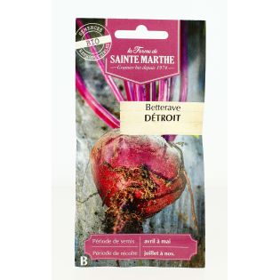 BETTERAVE de Detroit2 AB- Semences reproductibles bio