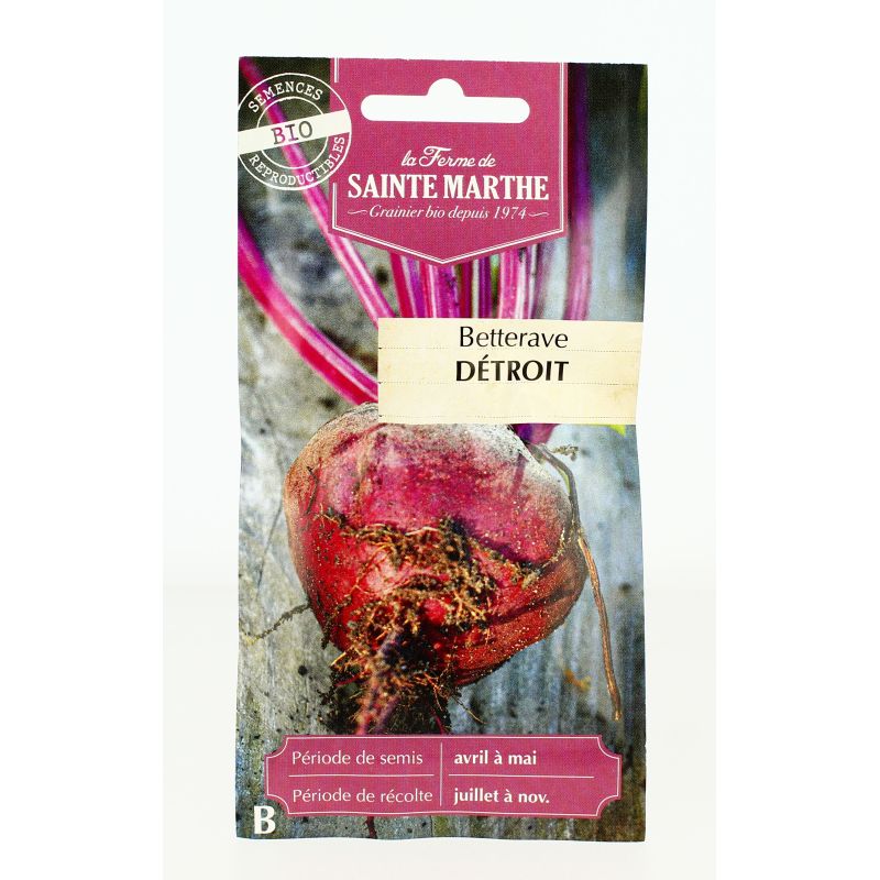 BETTERAVE de Detroit Améliorée 2 AB- Semences reproductibles bio