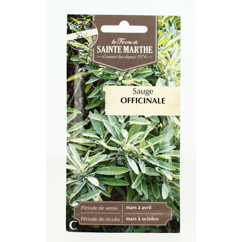 SAUGE Officinale AB- Semences reproductibles bio