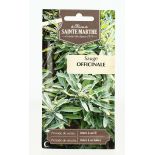 SAUGE Officinale AB- Semences reproductibles bio