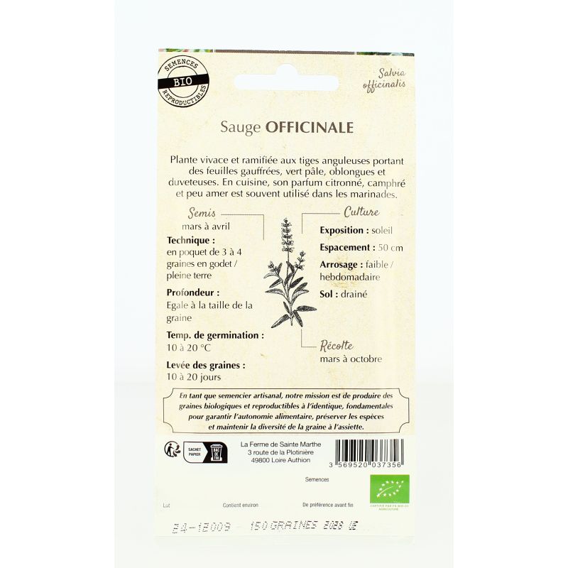 SAUGE Officinale AB- Semences reproductibles bio