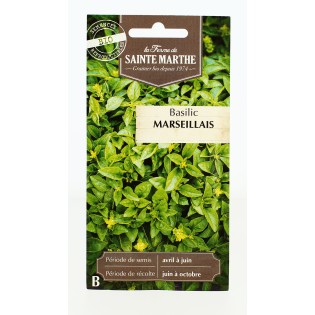 BASILIC Marseillais AB  - Semences reproductibles bio | FERME DE SAINTE MARTHE
