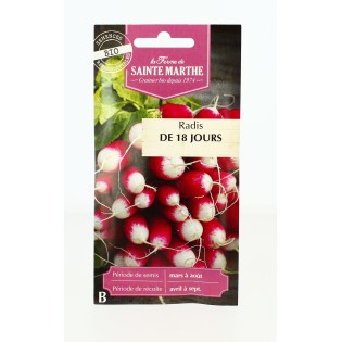 Radis de 18 Jours - Semences reproductibles bio | FERME DE SAINTE MARTHE