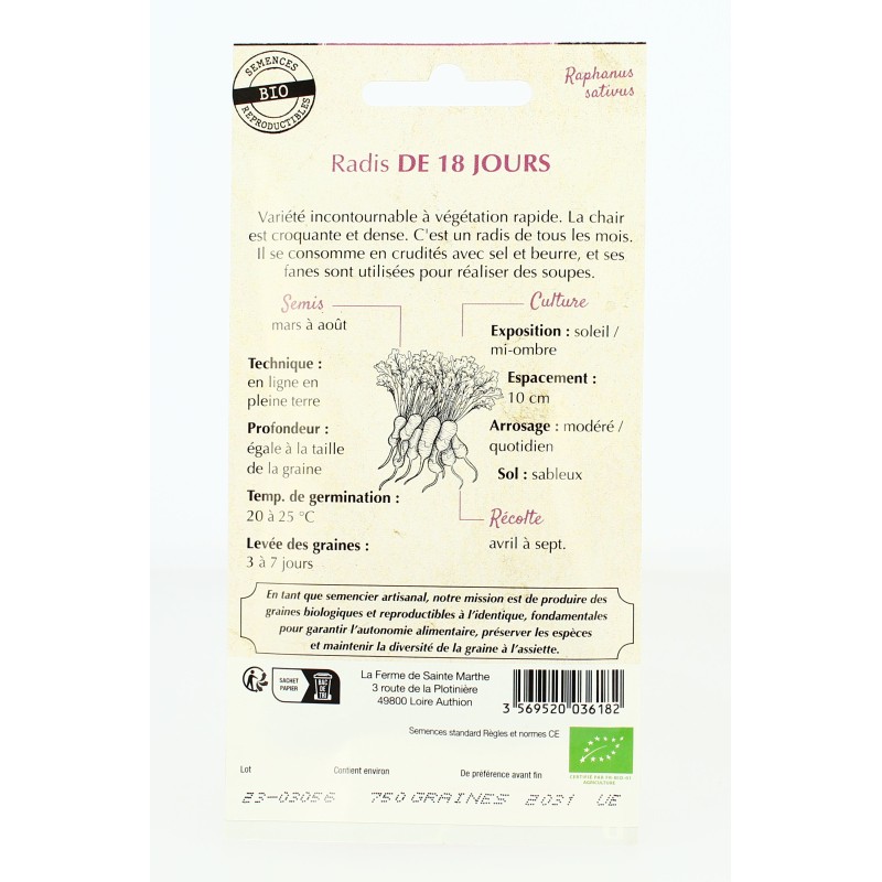 Radis de 18 Jours - Semences reproductibles bio | FERME DE SAINTE MARTHE