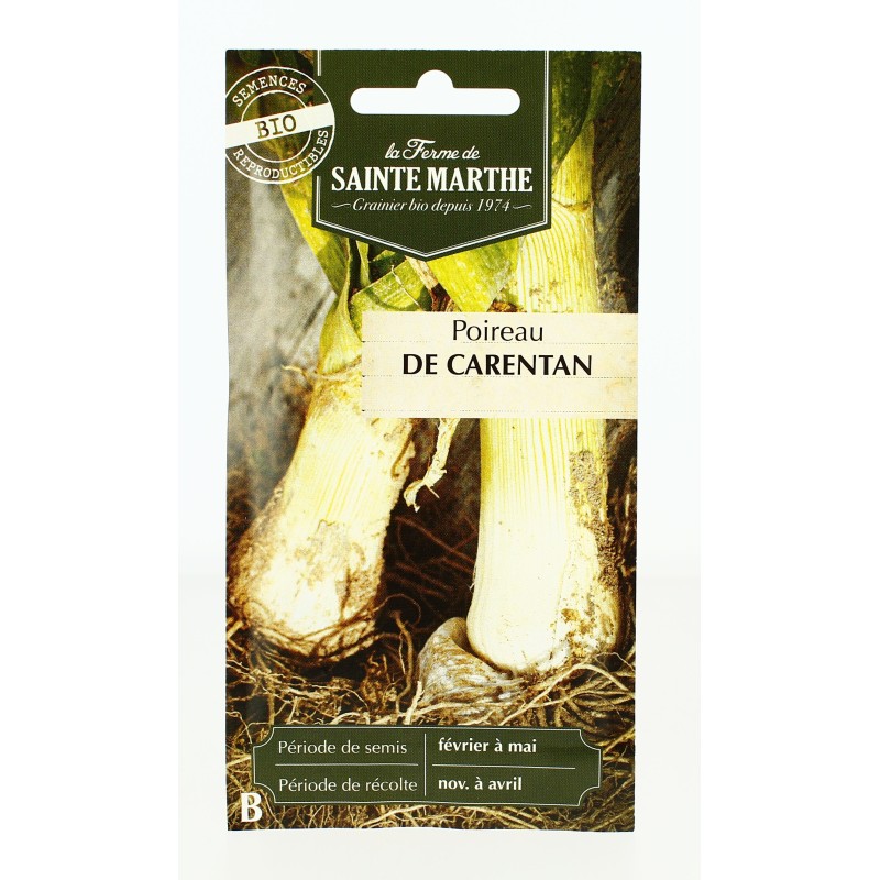 POIREAU de Carentan 2 AB  - Semences reproductibles bio | FERME DE SAINTE MARTHE