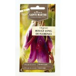 Oignon rouge long de Florence AB  - Semences reproductibles bio | FERME DE SAINTE MARTHE