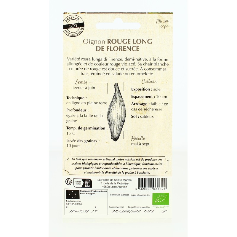Oignon rouge long de Florence AB  - Semences reproductibles bio | FERME DE SAINTE MARTHE