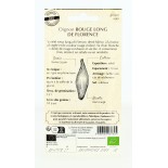 OIGNON Rossa Lunga di Firenze AB  - Semences reproductibles bio | FERME DE SAINTE MARTHE