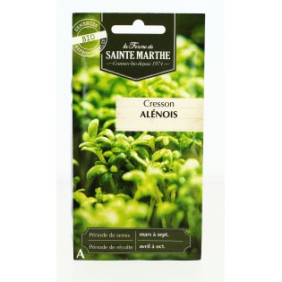 Cresson Alénois Frisé AB  - Semences reproductibles bio | FERME DE SAINTE MARTHE