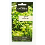 Cresson Alénois Frisé AB  - Semences reproductibles bio | FERME DE SAINTE MARTHE