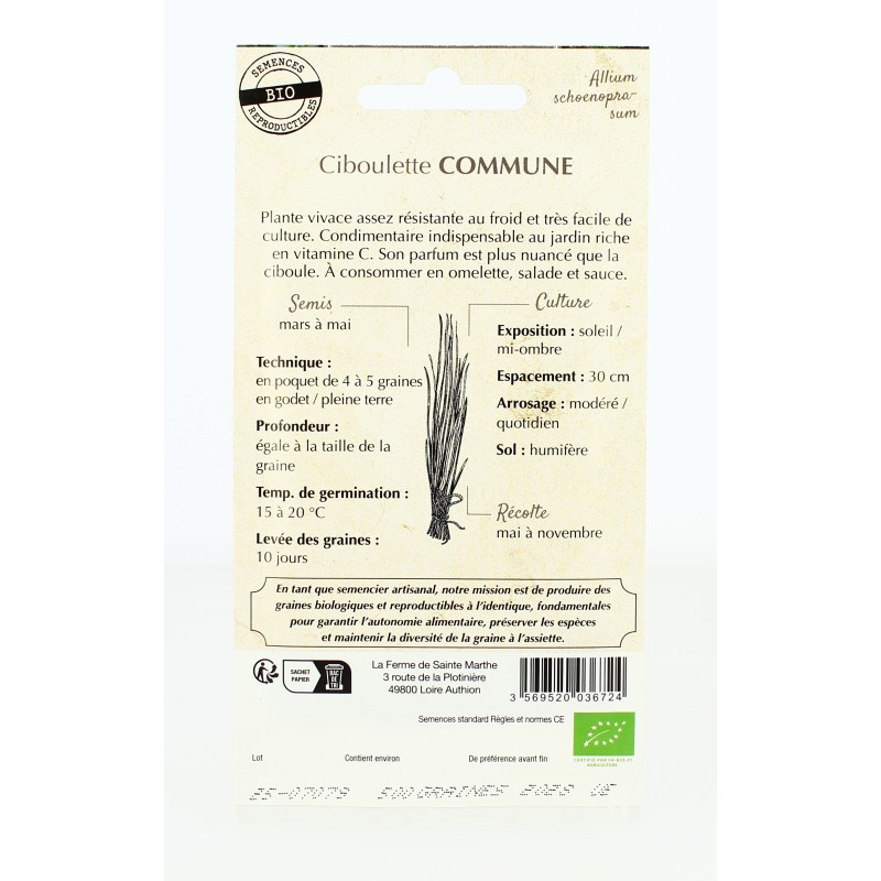 Ciboulette Commune - Semences reproductibles bio | FERME DE SAINTE MARTHE