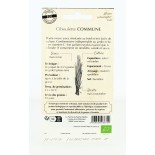 Ciboulette Commune - Semences reproductibles bio | FERME DE SAINTE MARTHE