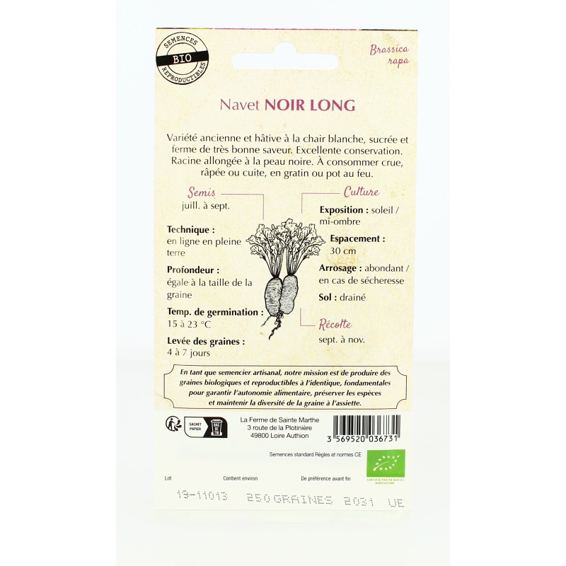 Navet Noir Long - Semences reproductibles bio | FERME DE SAINTE MARTHE