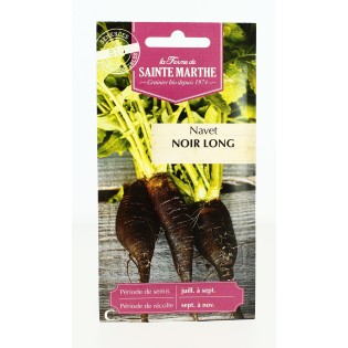 Navet Noir Long - Semences reproductibles bio | FERME DE SAINTE MARTHE